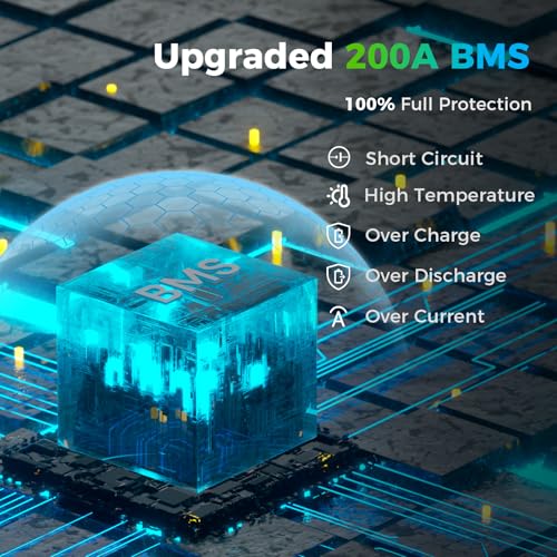Image of Dyness 12V 200Ah PLUS LiFePO4 Battery, Max. 2560Wh Power, 12.8V LiFePO4 Battery Upgrade 200A BMS with Low-Temp Protection, 4000+ Deep Cycles 12V Lithium Battery Perfect for RV, Solar System, Off-Grid