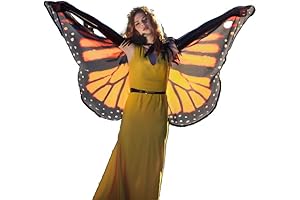 Maleficent Crow Costume Men's Cloak with Monarch Monarch Small Wings