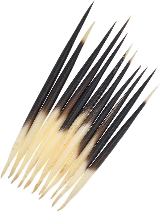 10Pcs Black Porcupine Quills Hair Stick Indian Crafts Accessories Fishing Buoy DIY Sewing Project Kits Sewing Notions and Supplies
