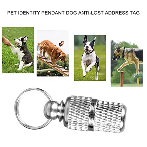 Trixie 2275 Adressanhänger, chrom, 1 Stück (1er Pack)