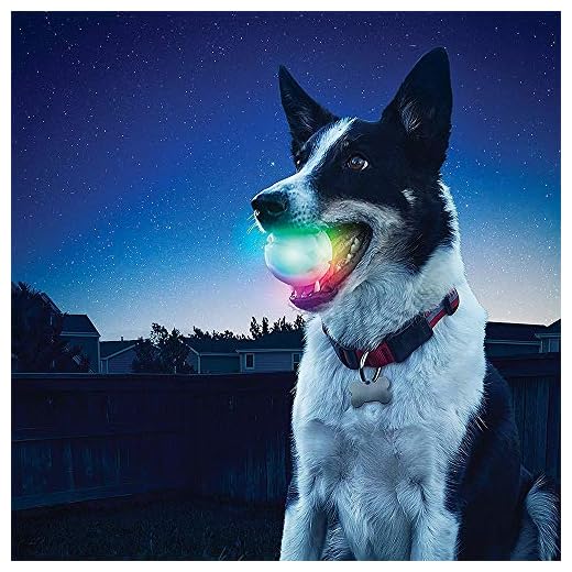 Nite Ize GlowStreak LED Dog Ball, Lights Up for Night Play Color:Disc-O Pack of 2