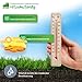20 kg Rasensamen trockenresistent dürreresistent für Trockenrasen & Schattenrasen Samen Grassamen schnellkeimend, 800m², ideal für Neuansaat und Nachsaat, Rasensaat Grassamen