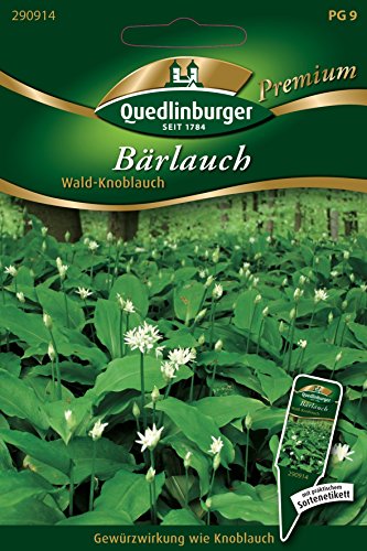 Preisvergleich Produktbild Bärlauch, 1 Tüte Samen