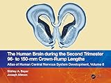 The Human Brain during the Second Trimester 96– to 150–mm Crown-Rump Lengths (Atlas of Human Central Nervous System Development, 8)