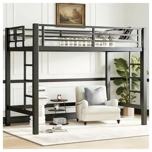 Clyrava Twin Metal Loft Bed Frame, Black Low Loft Bed with Full-Length Guardrails and Dual Ladders, Space-Saving Design with Under-Bed Storage for Kids, Teens and Adults (Black, Twin)