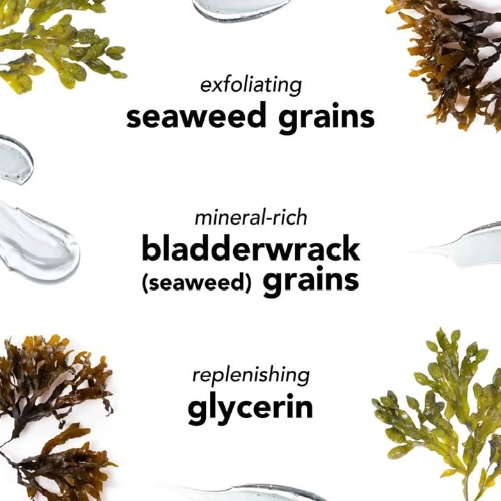 Mario Badescu Seaweed Cleansing Soap for All Skin Types |Creamy Cleanser that Gently Exfoliates |Formulated with Seaweed Grains & Bladderwrack Extract - Image 4