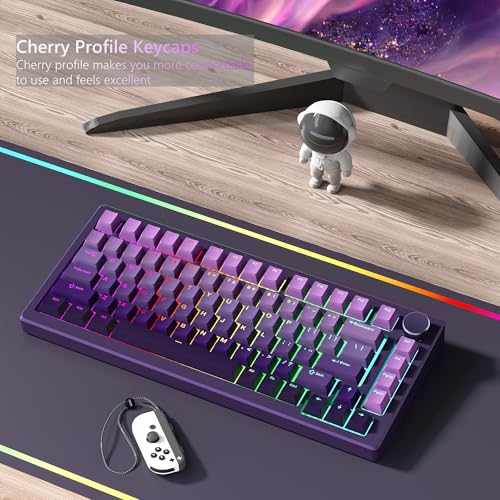 Image of Womier Shine Through PBT Keycaps 60 75 100 Percent Cherry Profile | Custom Key cap Doubleshot Keycaps Set, Universal Compatiability for Cherry Gateron MX Switches Keyboard, Gradient Purple