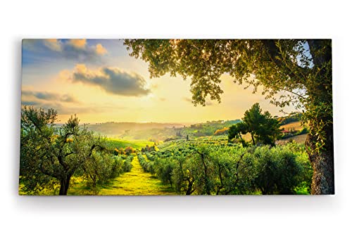 Paul Sinus Wandbild 120x60cm Italien Toskana Landschaft Bäume Grün Sonnenuntergang