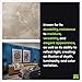 Meoded Paint & Plaster | Stucco Lamundo Venetian Plaster | Glossy Lime Based Plaster | Decorative Plaster For Interior Surfaces