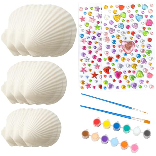 RQcMid - RQcMid Muscheln Zum Basteln, Bastelset Weihnachten Und Kindergeburtstag, 15 Stück Muscheln In 3 Größen, Mit 12 Farben Und Pinseln, Ideal Für Basteln Kindergeburtstag 7 Jahre Und 8 Jahre ﻿