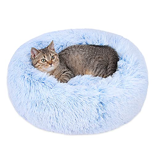 Lit apaisant pour chien installé dans le salon : panier rond moelleux bleu 61 cm
