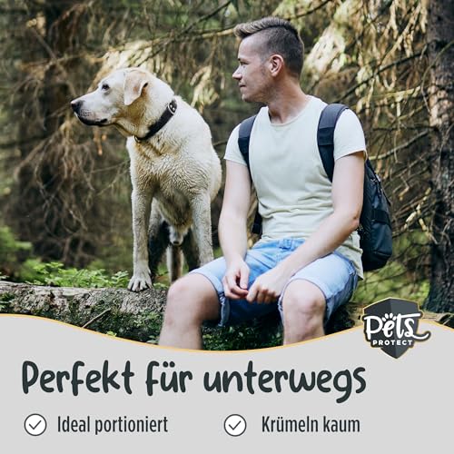 Pets Protect Veggie Snack 150 g | Vegane Leckerlis aus Gemüse & Früchten | Getreidefrei | Ohne künstliche Zusätze | Leckerli für große & kleine Hunde & Welpen | Deutsche Herstellung