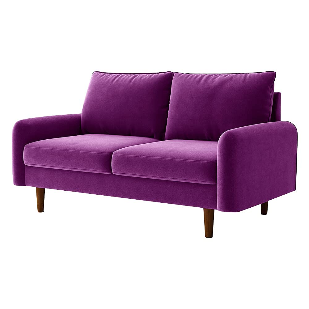 WANSE 56" Round Arms Velvet Loveseat, Couch with Solid Wood Frame, Easy