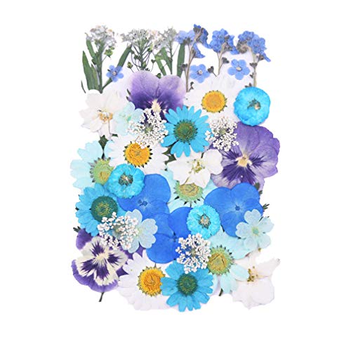 Flores Naturales Secas para Manualidades DIY miniatura 1