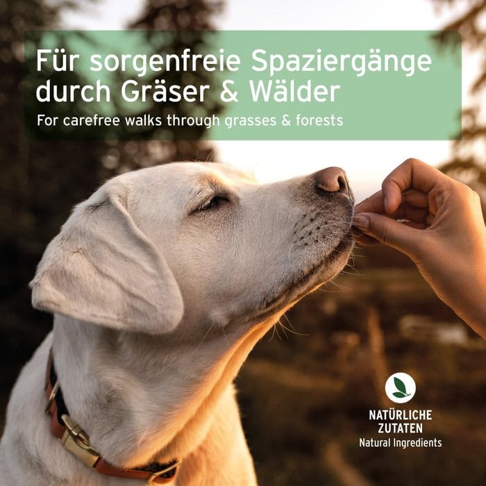 AniForte Z Season Snack für Hunde 300g | Funktionssnack für gesamte Saison, 100% natürlich mit Schwarzkümmel, Kokosöl, Zistrosenkraut, getreidefrei, Monoprotein