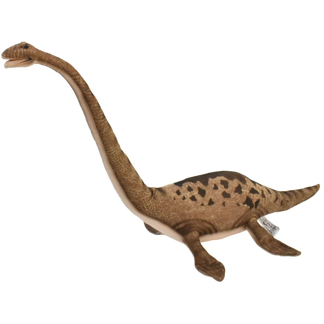 アニア　フタバスズキリュウ アニア AL-09 クビナガリュウ（フタバサウルス）｜アニア