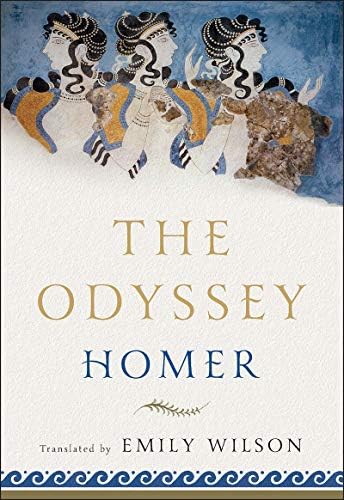 The Odyssey: Catalyst Hero: Homer, Wilson, Emily: Books - Amazon.com