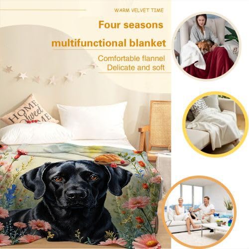 Couverture Polaire 240 x 260 Animal Chien, Couverture Polaire Grande Taille 240x260 cm | Usage Multiple comme Couette d'Appoint, Assure Une Protection Contre Le Froid I9-