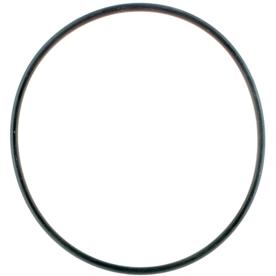 Amazon.com: Johnson Evinrude OMC New OEM Cylinder Head