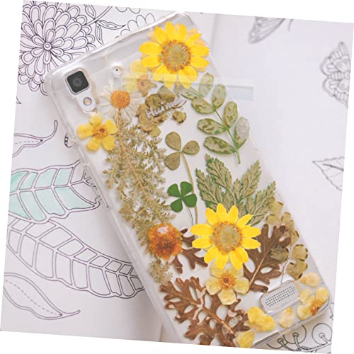 72pcs Flores Secas de Margarita para Manualidades miniatura 6
