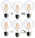 6 Pack Bioluz LED 60 Watt LED Bulb Edison Style Dimmable Filament LED (Uses 7 watts) 2700K Warm White UL Listed