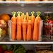 Imagen de Contenedores Para Refrigerador