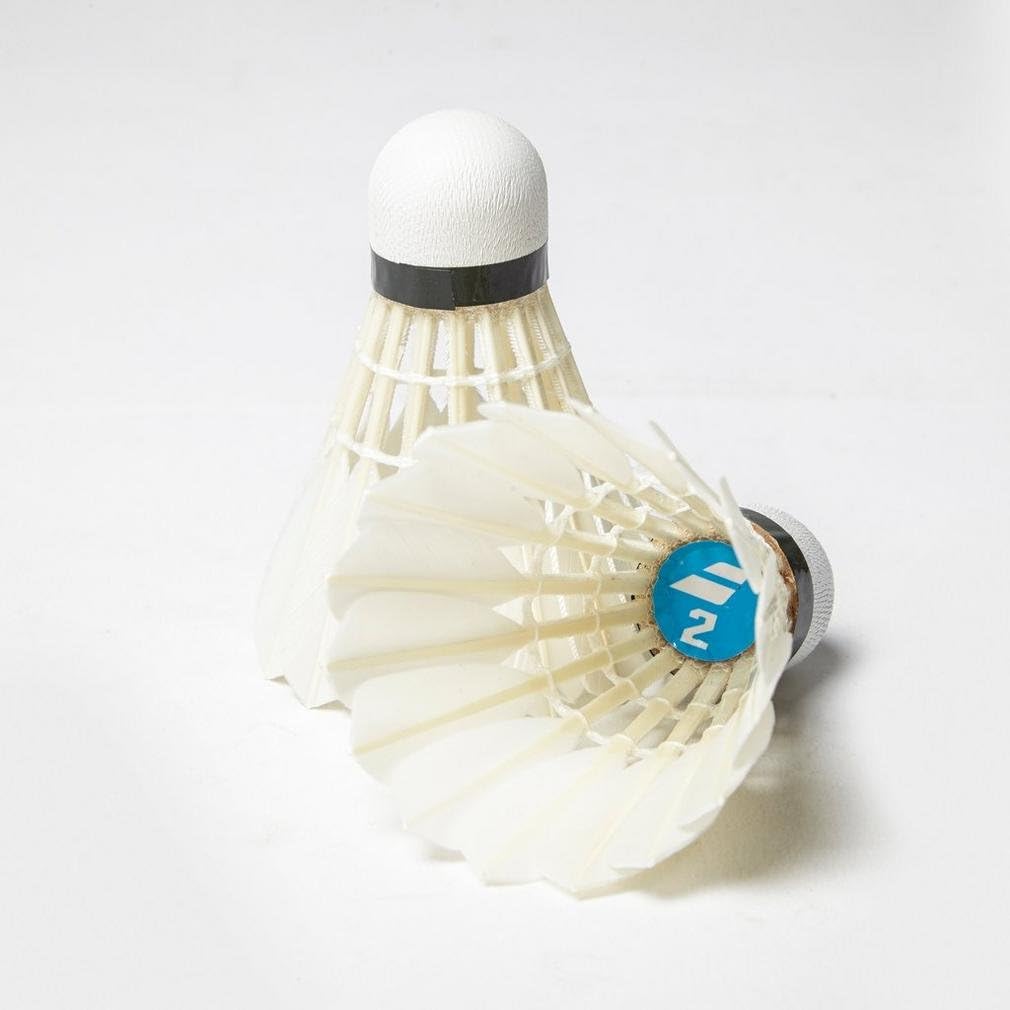 Babolat Feather Shuttle 2 Steering Wheel, Adults Unisex