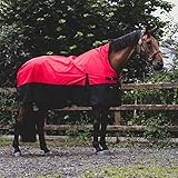 eQuitack Your Passion Is Our Mission