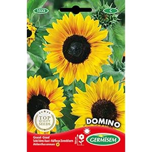 Germisem EC1533 Domino Zonnebloemzaden 2 g