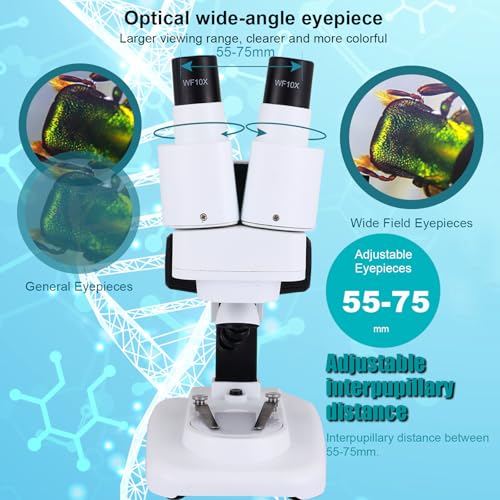 Image of Portable Stereo Microscope - 20x-50x Magnification, Wide Angle Eyepieces, Reversible Black /White Table Plate, for Kids 8-12