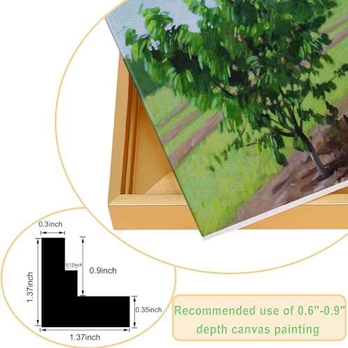 Image of 16x20 Canvas Floater Frame with 0.6 inch-0.9 inch Deep, Canvas Floating Frame for Oil Painting, Art Prints Artwork Frames(16 inchx20 inch,Gold)