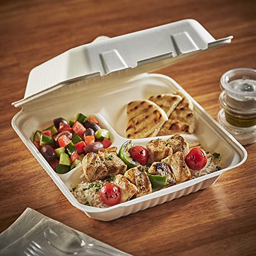 Hefty ECOSAVE 3 Compartment Hinged Lid Containers, 9 X 9