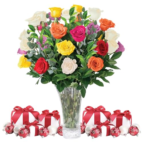 Aquarossa Farms - Assorted Roses Flowers Fresh Bouquet, Valentines Day Gifts for Her, Fresh Flowers for Delivery Prime, 24 Fresh Cut Stems