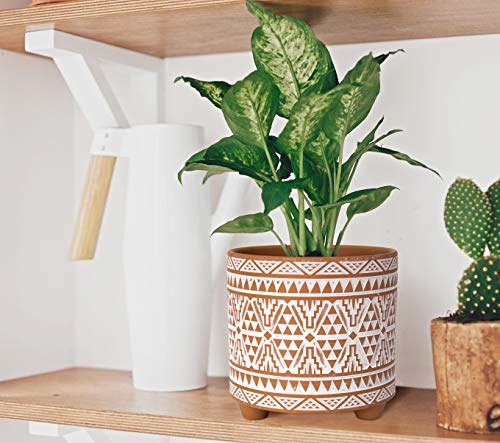 D'vine Dev Set of 2 Terracotta Planter Pots, 4 Inch & 6 Inch, Design Plants Pot with Drainage Hole, Sierra Sandstone, Terracotta/White, 31-953-A-1 D'vine Dev Set of 2 Terracotta Planter Pots, 4 Inch & 6 Inch, Design Plants Pot with Drainage Hole, Sierra Sandstone, Terracotta/White, 31-953-A-1