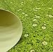 Tadi & Imperio1979 Alfombra vinílica Impresa Flores con césped digitalizada para salón,...