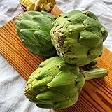 Semillas de Alcachofera Plantas para Producir Alcachofas en el Hogar