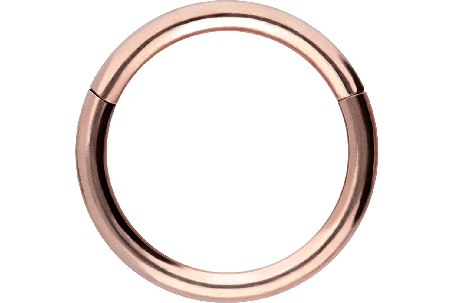 PIERCINGLINE Anillo de segmento con bisagras de titanio, 16G, 18G, 20G, joyería de tabique, anillo de nariz, hélice, tragus, cartílago, daith, joyería para piercing de oreja