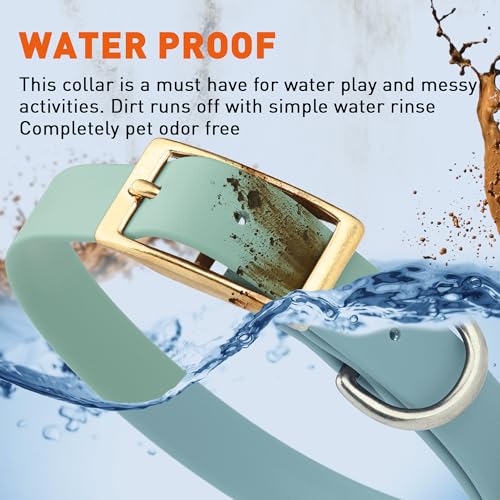 Image of Viper Biothane Heavy Duty Waterproof Dog Collar Strong Coated Nylon Webbing w /Solid Brass Hardware Odor-Proof Easy to Clean High Performance Fits Small Medium or Large Dogs, Sage Green