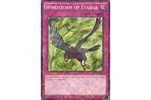 YU-GI-OH! - Windstorm of Etaqua