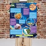 BBC Earth Grow & Découvrez l'aquarium en cristal, le kit de croissance en cristal , les jouets à tige, les kits scientifiques pour les enfants de 8 à 12 ans, les expériences scientifiques, STEM Kit, DIY Kits & Cristaux pour enfants