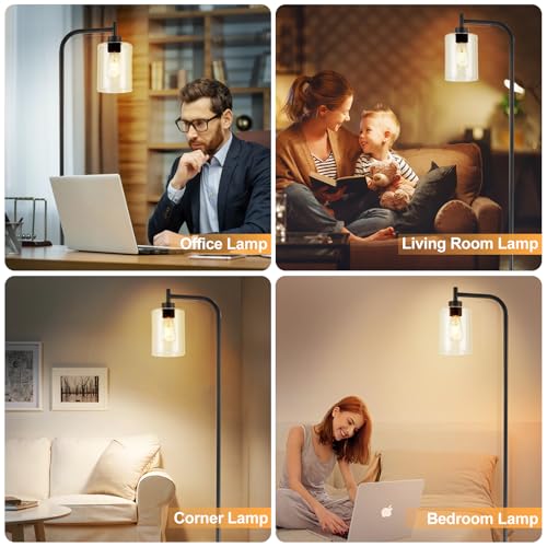 DLLT Floor Lamp Tall for Room: Black Standing Lamp with Clear Glass Lampshade for Living Room - Modern Bright Lamp for Bedroom - Industrial Corner Floor Lamps for Office 8W Led Bulb Included