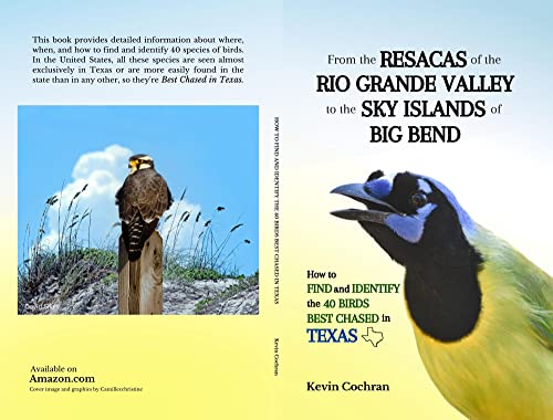 From the Resacas of the Rio Grande Valley to the Sky Islands of Big Bend: How to Find and Identify the 40 Birds Best Chased in Texas