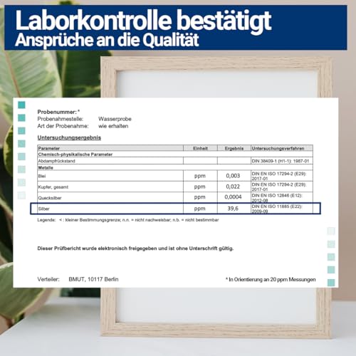 1x 100ml Kolloidales Silber Spray (40 ppm) in Braunglasflasche – Sprühflasche | Silberwasser | Reinstwasser