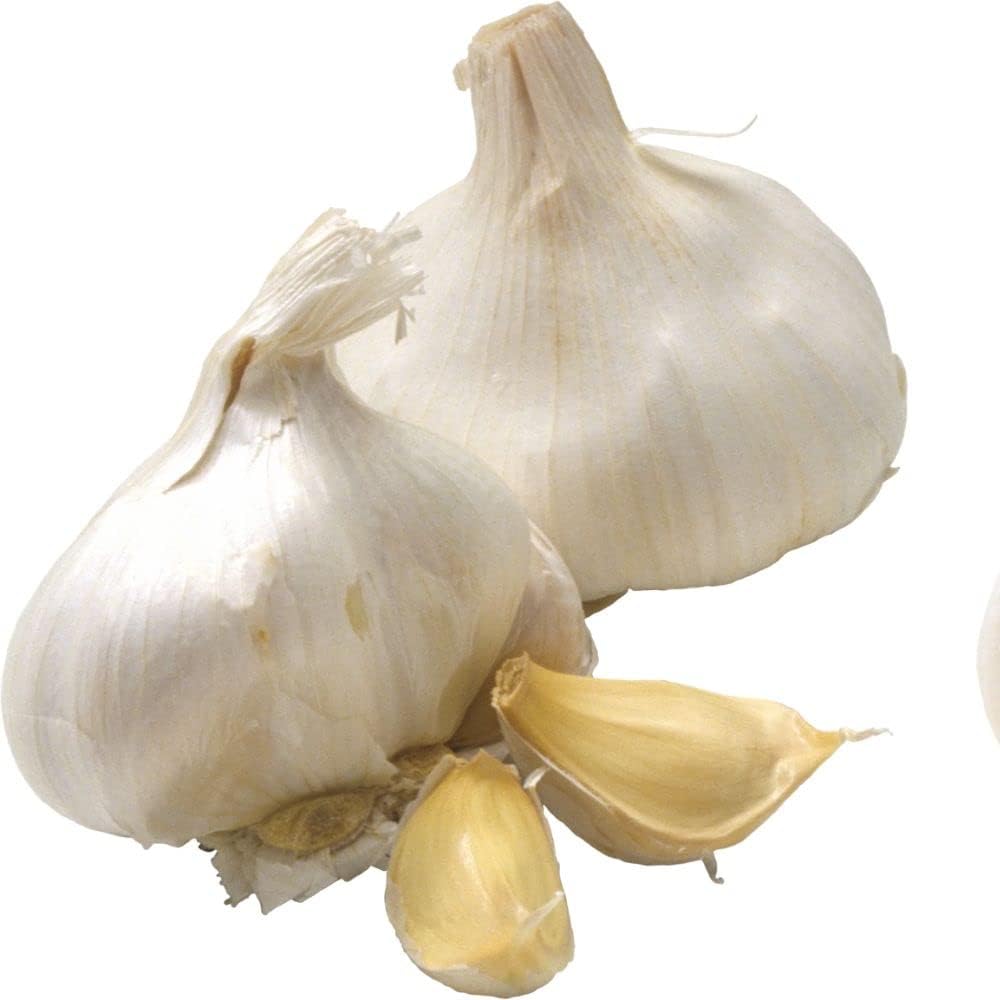 California Softneck Garlic - 6 Bulbs