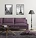 MCS Trendsetter 24x32 Poster Frame Black High-Gloss, Vertical & Horizontal Wall Hanging Large Picture Frame for Photos, Posters & Art Prints (2-Pack)