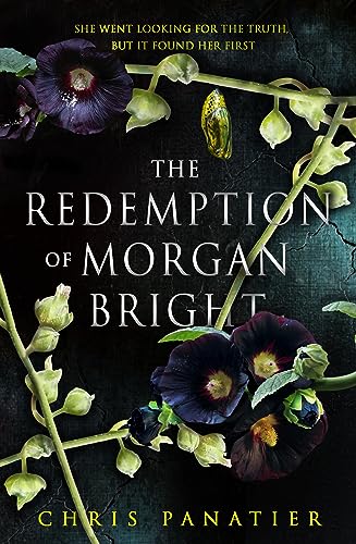 Cover of The Redemption of Morgan Bright