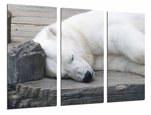 Tableau Moderne Photographique, Impression sur bois, Ours polaire animal allongé blanc, vie sauvage, 97 x 62 cm, ref. 26776