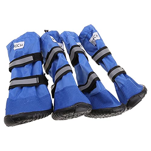 Chaussons pour chien de compagnie pour randonner sous la pluie en forêt et ville