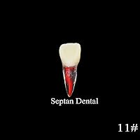 Vista 6 de 8pcs dientes modelo endodoncia endodoncia archivo RCT práctica pulpa para enseñanza estudio