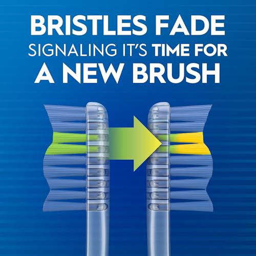 Image of Oral-B Pro Health Fights Plaque & Tartar, 4 Count Soft Manual Toothbrush Pack, Indicator Bristles, Plaque Fighter, Gentle on Teeth